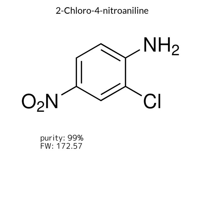 2-Chloro-4-nitroaniline 99%