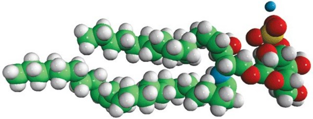 Sulfatides (Brain) Avanti Research™ - A Croda Brand