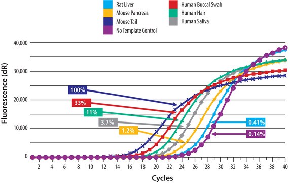 SYBR® Green Extract-N-Amp™ Tissue PCR Kit sufficient for 100 extractions, sufficient for 100 amplifications