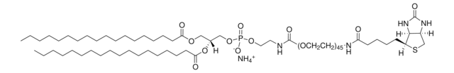 DSPE-PEG(2000) Biotin Avanti Research™ - A Croda Brand 880129P, powder